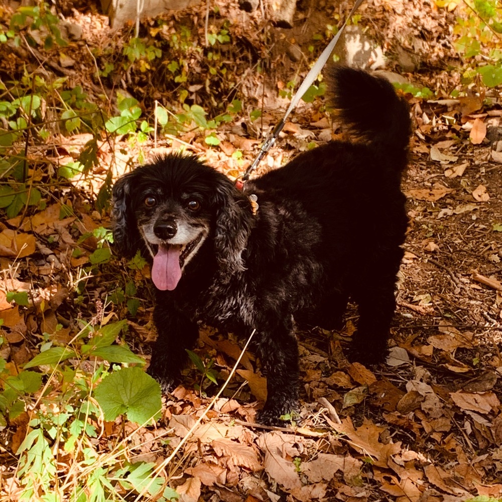 Meet your Posher, Janice